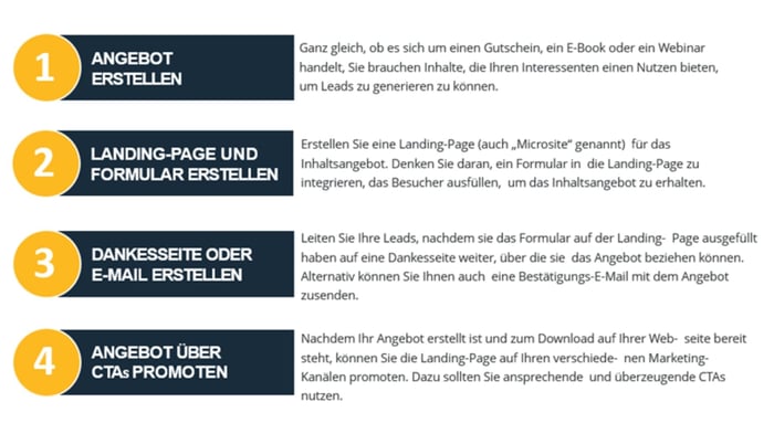 grafik-salessation-erste-leadgenerierungs-kampagne