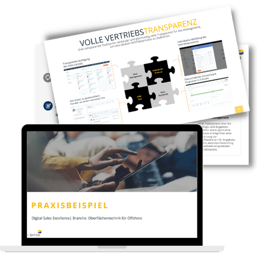 business-case-b2b-digital-sales-excellence-SalesSation