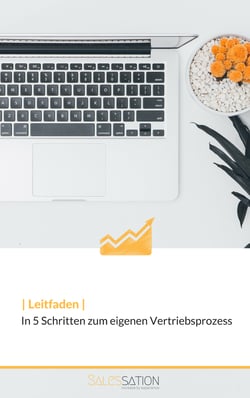 leitfaden-vertriebsprozess-seite1