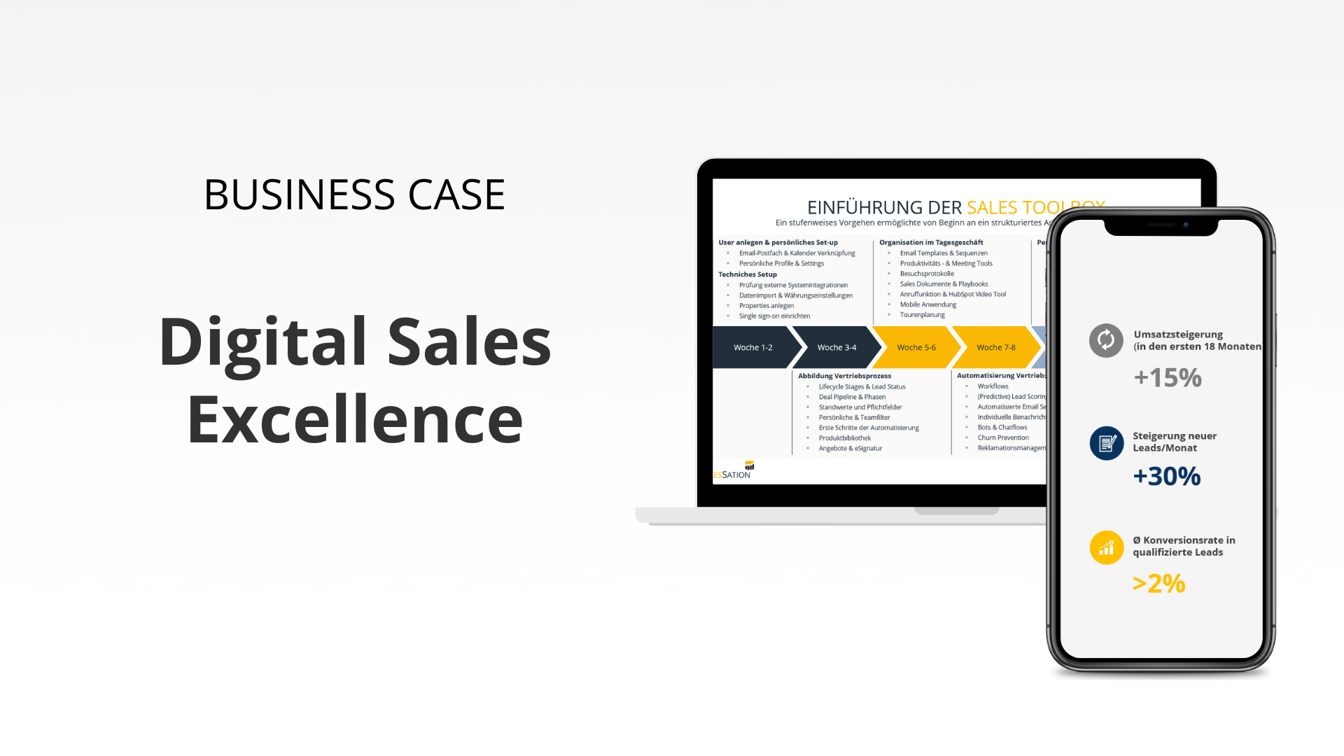 business-case-salessation-b2b-digital-sales-excellence (5)