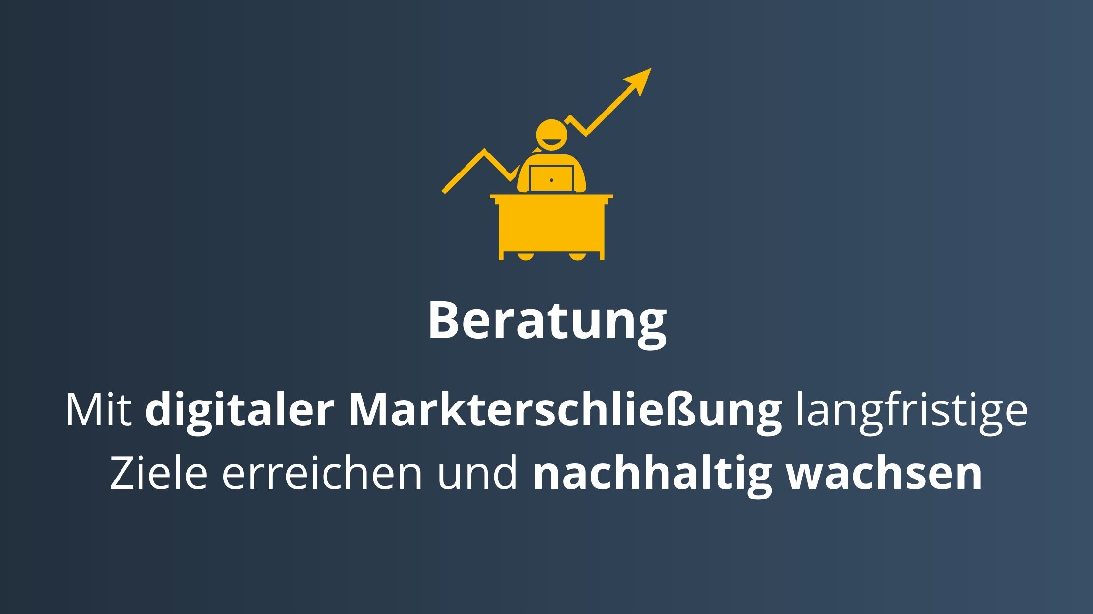 SalesSation-Leistungen_Beratung